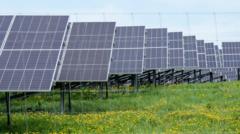 more-solar-farms-on-the-way-after-record-renewables-auction