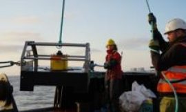 How Hinkley Point C’s £50m ‘fish disco’ could save farmland