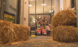 IFA questions Bord Bia accreditation of Dawn Farms