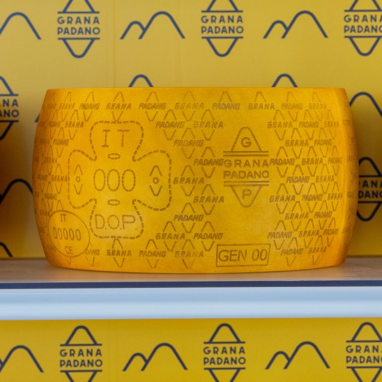 Read more about the article n