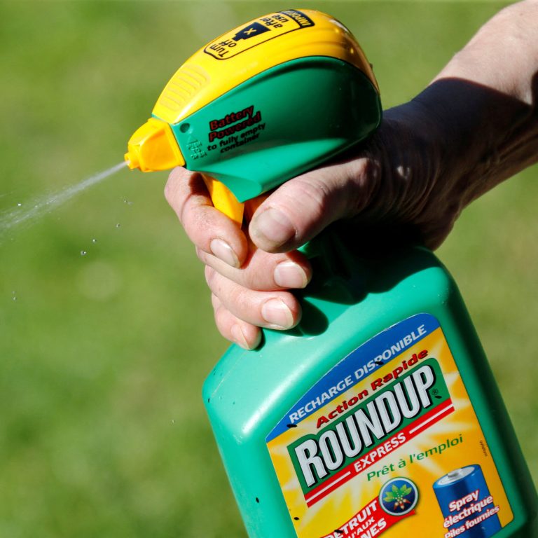 Read more about the article n