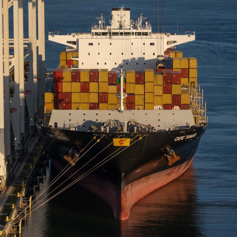 Read more about the article n