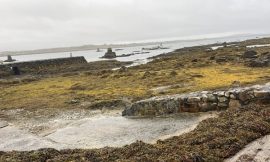 Communities fight ‘corporate’ bid for seaweed rights