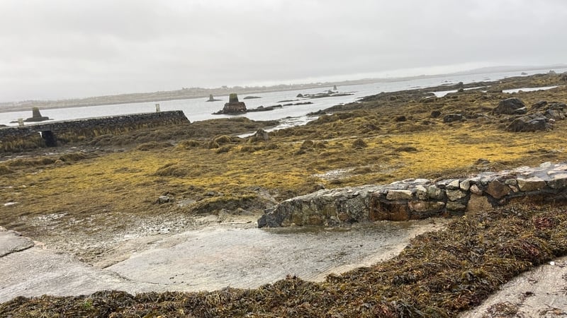 communities-fight-‘corporate’-bid-for-seaweed-rights