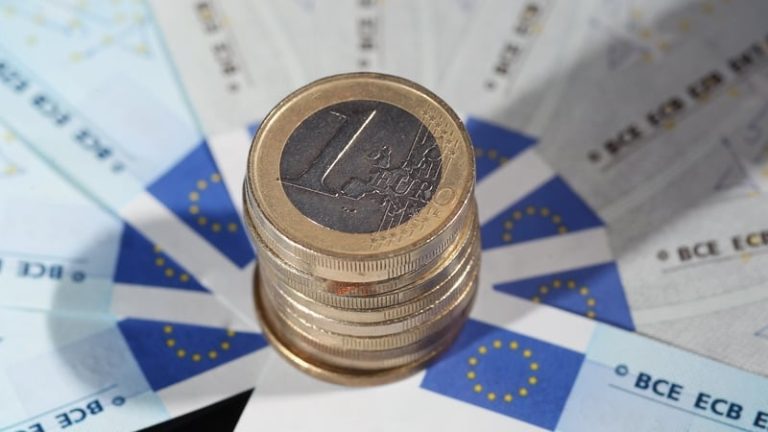 Read more about the article Euro zone economic momentum wanes further in January: PMI