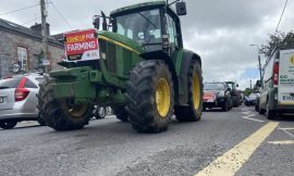 Who are the key players in the Irish farming lobby?