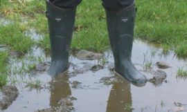 Farmers warn of slurry storage issues after wet weather