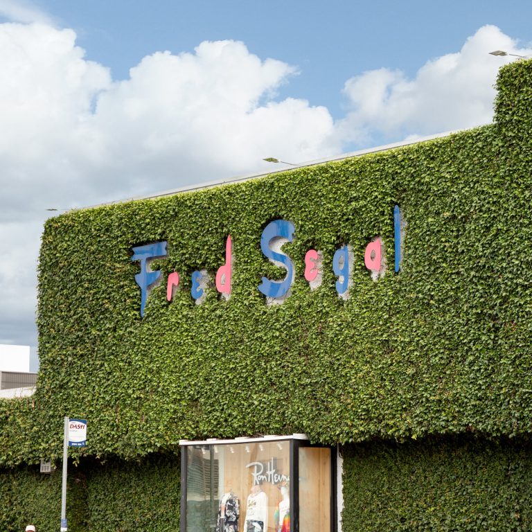 Read more about the article n