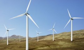 Renewables cut energy costs by €1.5bn last year – report