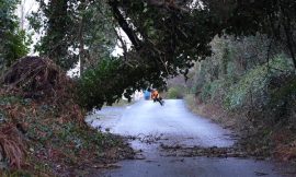 €661m in industry losses estimated from Storm Éowyn – Aon