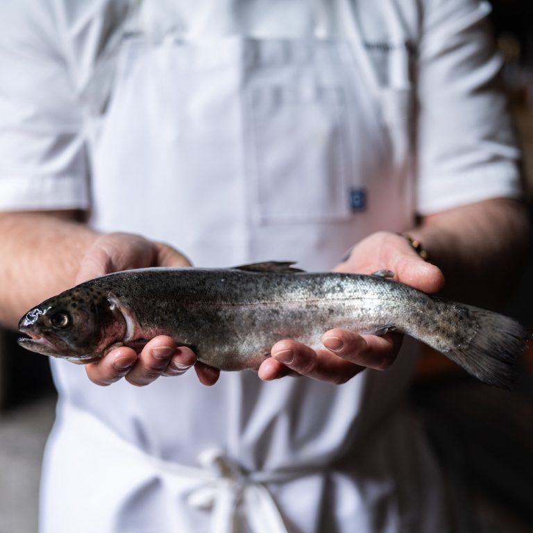 Read more about the article n