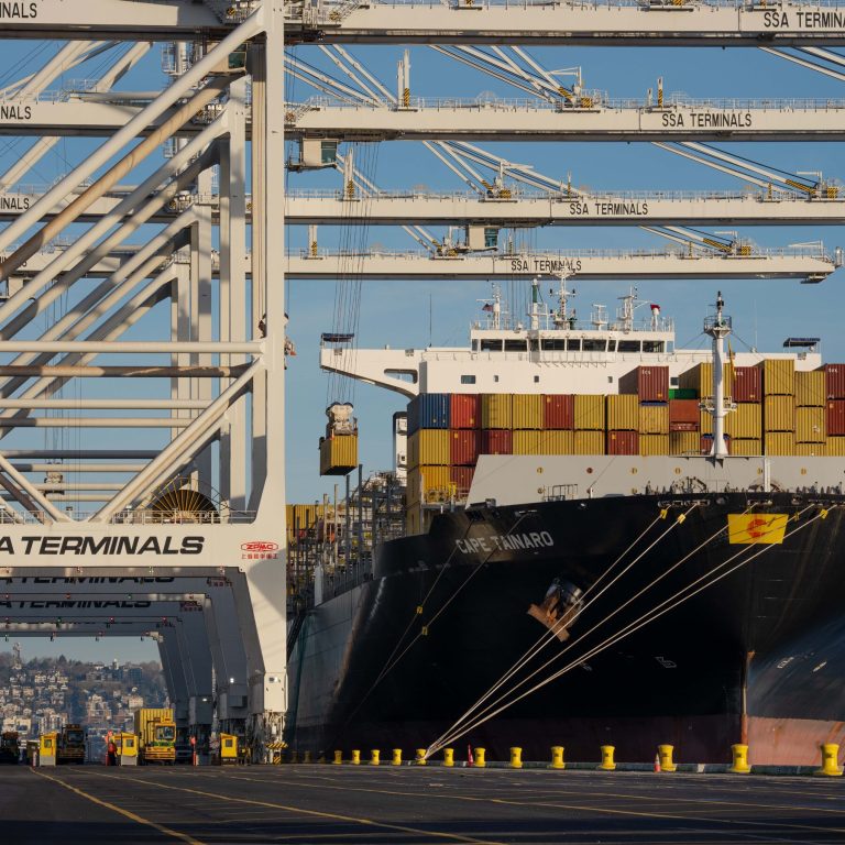 Read more about the article n