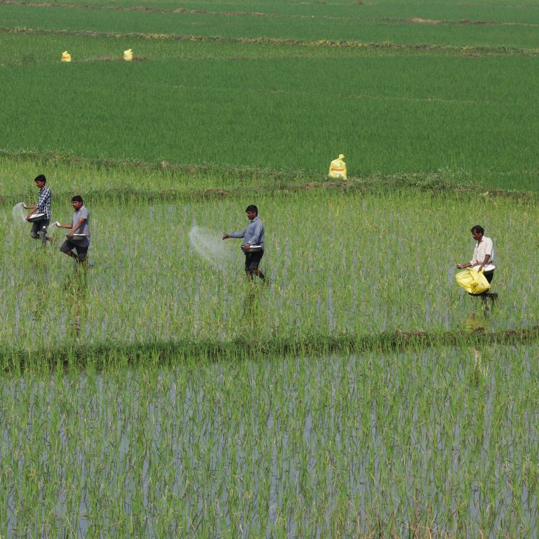 Read more about the article n