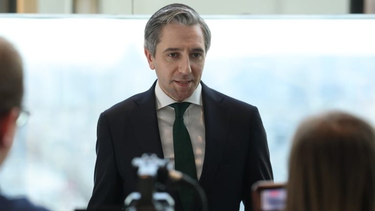 Read more about the article Tánaiste Simon Harris to meet French finance minister