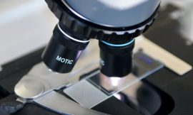 150 research jobs could be at risk – higher edtn union