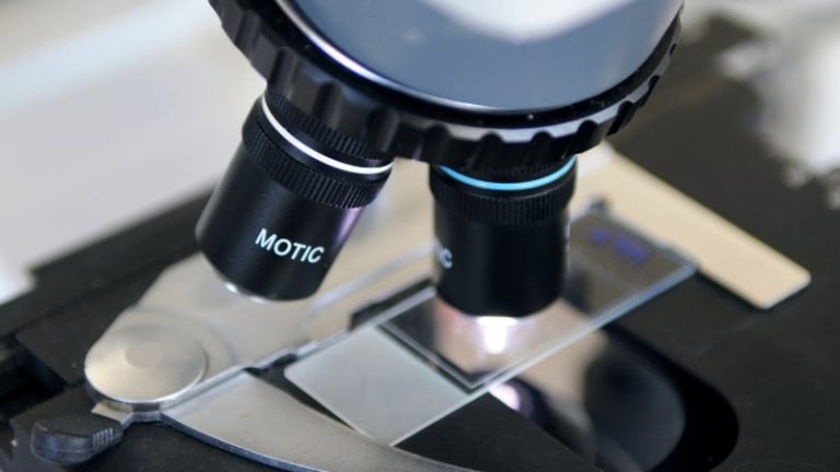 Read more about the article 150 research jobs could be at risk – higher edtn union