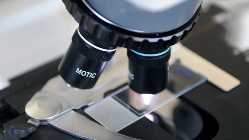 150-research-jobs-could-be-at-risk-–-higher-edtn-union