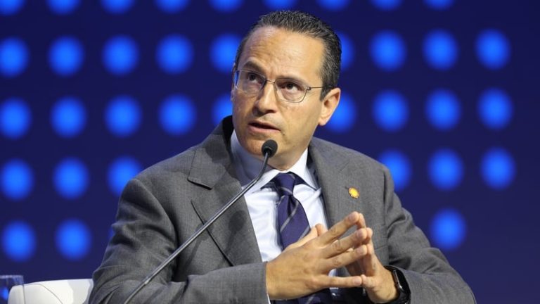 Read more about the article Shell boss sees pay jump almost 60% despite profit fall