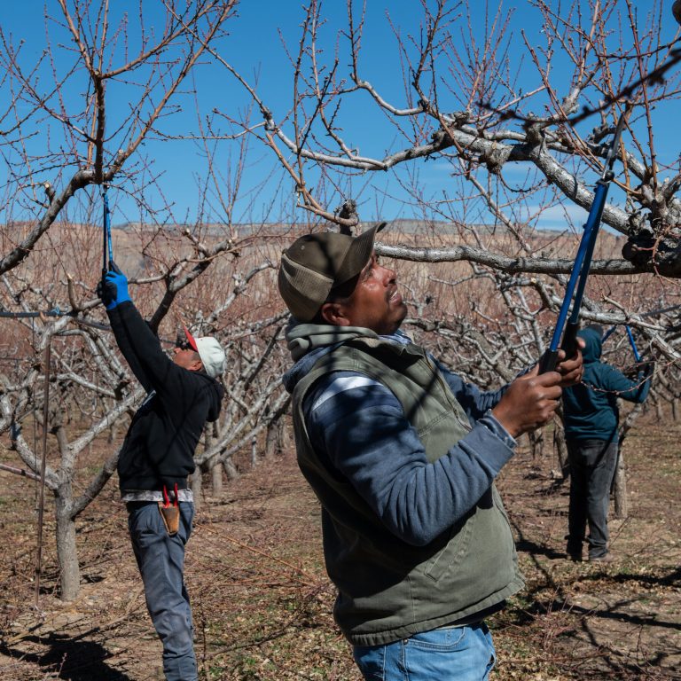 Read more about the article n