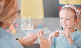 Why are sign language services considered a luxury for VAT?