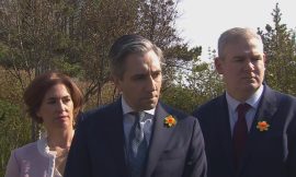 Tánaiste hints at cut in excise duty on fuel next week