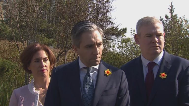 Read more about the article Tánaiste hints at cut in excise duty on fuel next week