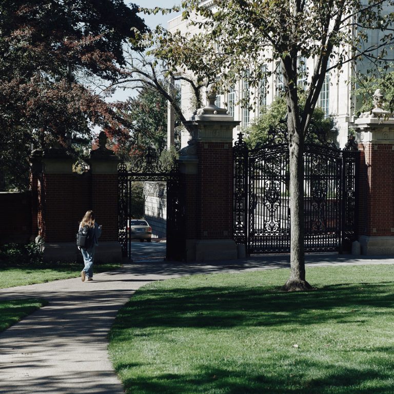 Read more about the article n