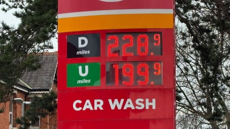 Read more about the article Govt agrees cuts to excise duties on diesel and petrol