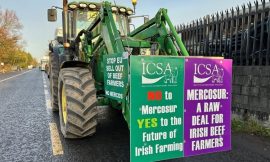 EU-Mercosur trade deal to apply provisionally from May 1