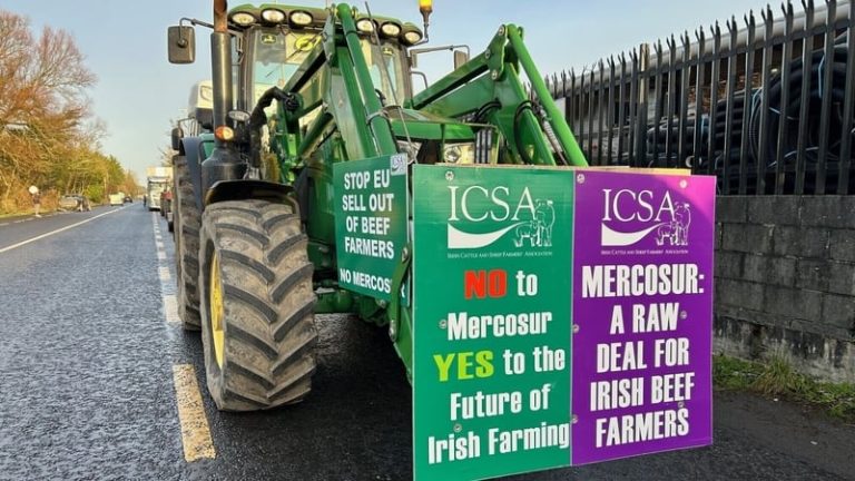 Read more about the article EU-Mercosur trade deal to apply provisionally from May 1