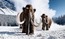 Sora: OpenAI closes AI video app and cancels $1bn Disney deal