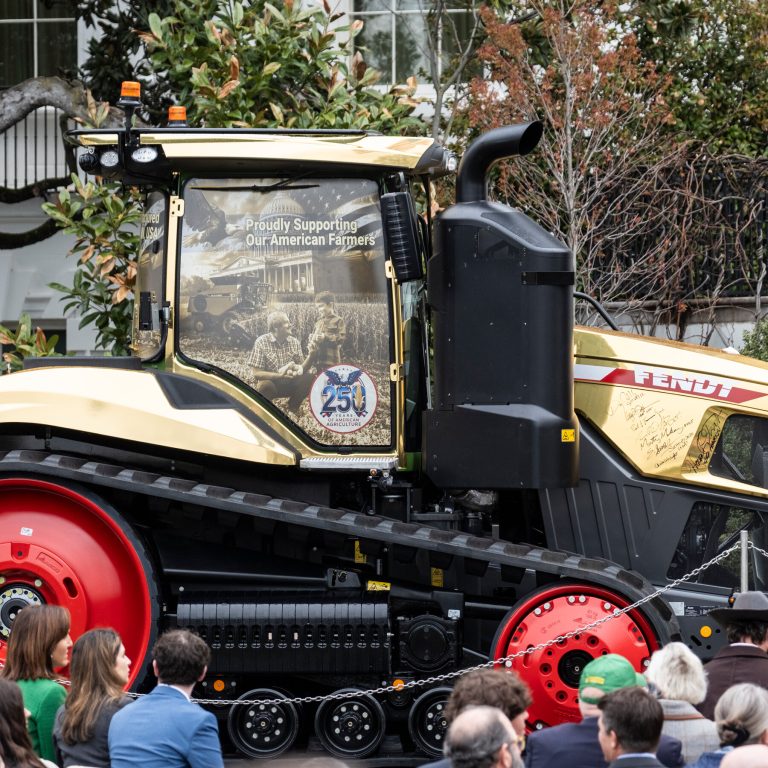 Read more about the article n