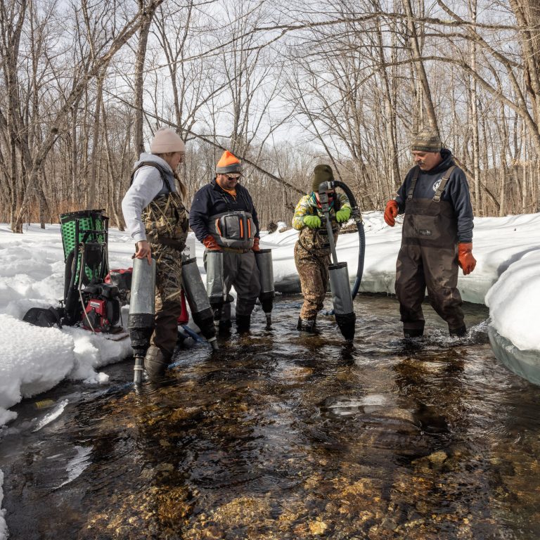 Read more about the article n