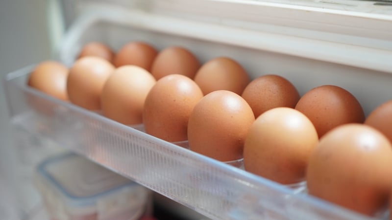 egg-producers-call-for-higher-pay-to-avoid-shortages