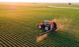 No suspension of EU carbon taxes as fertiliser costs rise