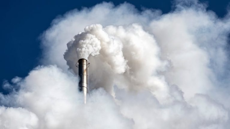 Read more about the article EU proposes changes to carbon emissions trading system