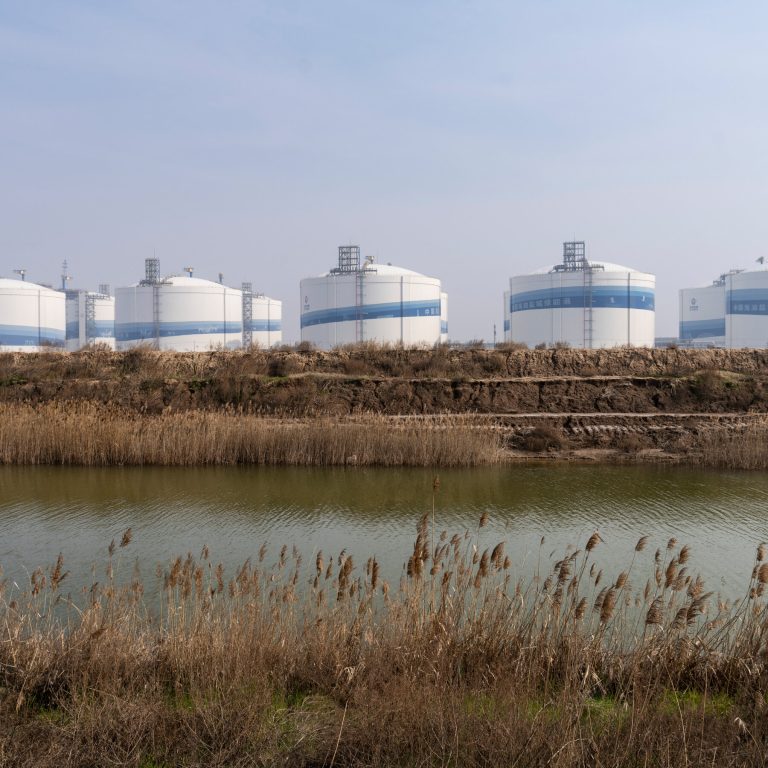 Read more about the article n