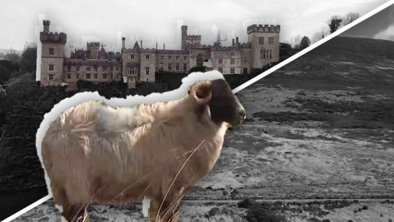 Read more about the article ‘No conversations on evictions’ of Waterford farmers, says Duke