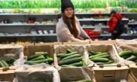 Shoppers feel the crunch as fruit and vegetable prices increase