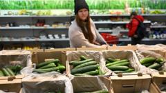 Read more about the article Shoppers feel the crunch as fruit and vegetable prices increase
