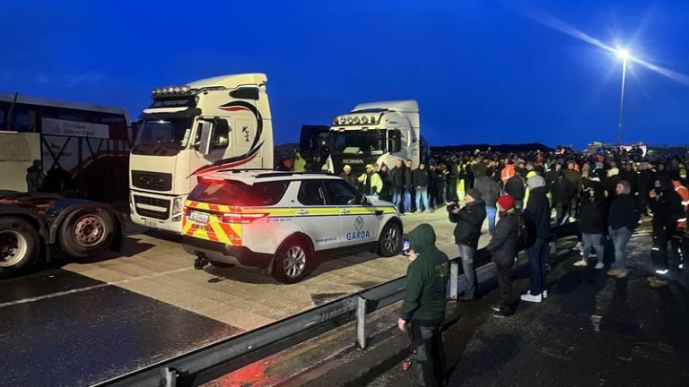Read more about the article Garda Public Order Unit at Galway docks protest