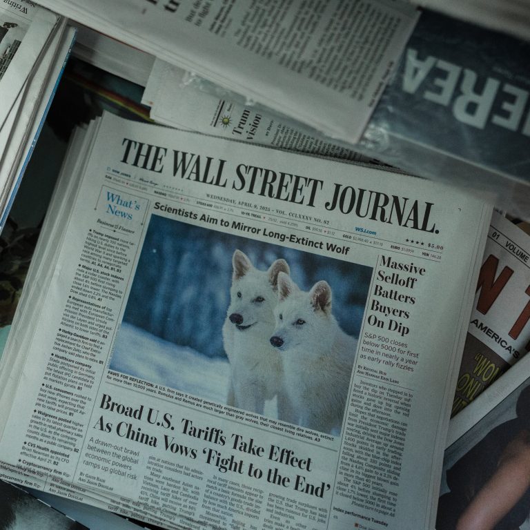 Read more about the article n