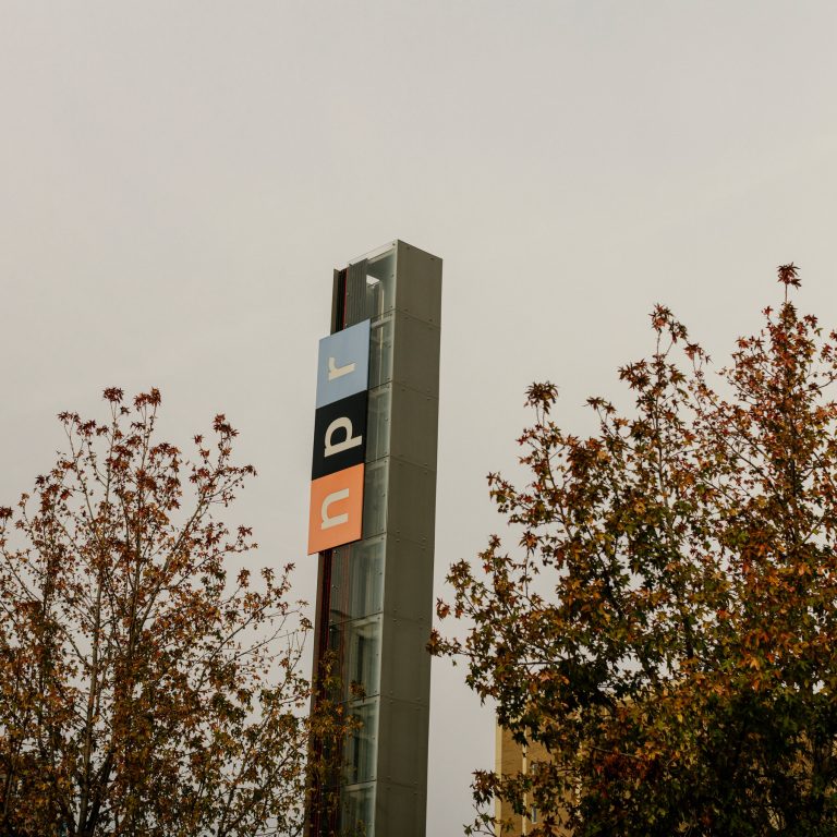 Read more about the article n