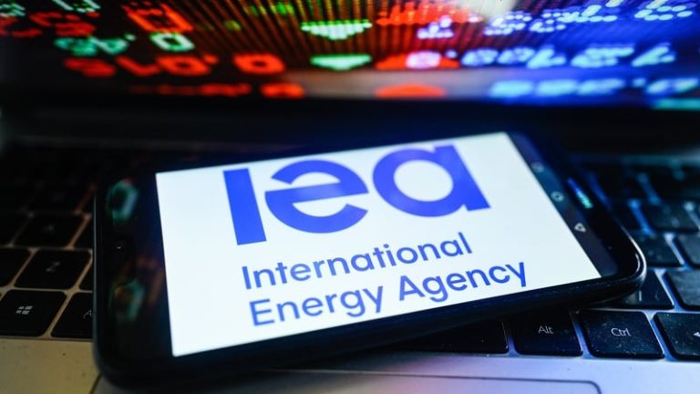 Read more about the article Iran war causing biggest energy crisis in history – IEA