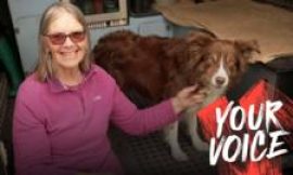 I was left with an £8,000 vet bill when my insurer cancelled my pet policy