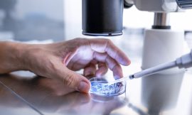 Sims Clinic reduces losses to €2.08m as revenues up 3%