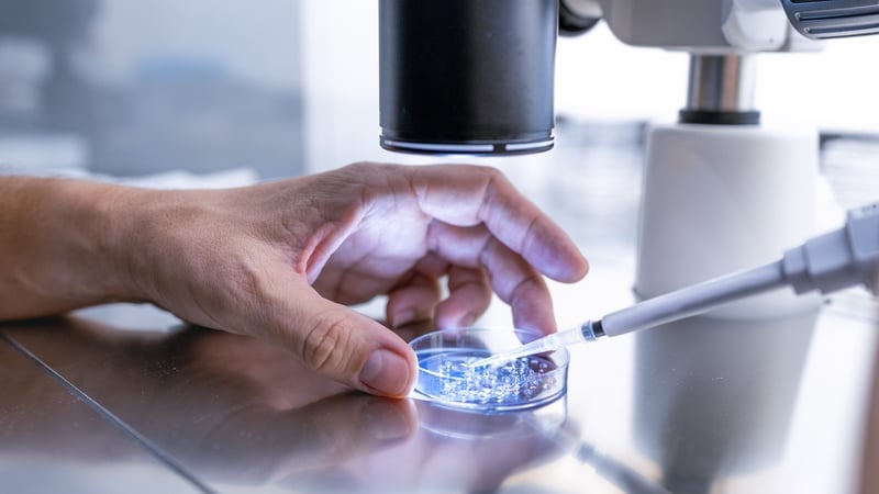 sims-clinic-reduces-losses-to-e2.08m-as-revenues-up-3%