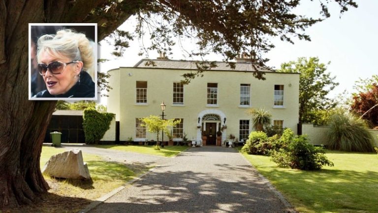 Read more about the article Finance firm takes case to repossess Twink’s house