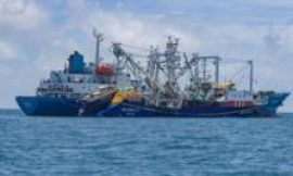 How climate change threatens the economic backbone of the Pacific