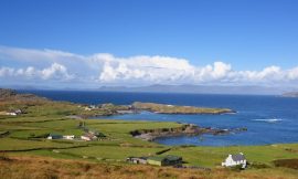Government urged to delay short-term lets register